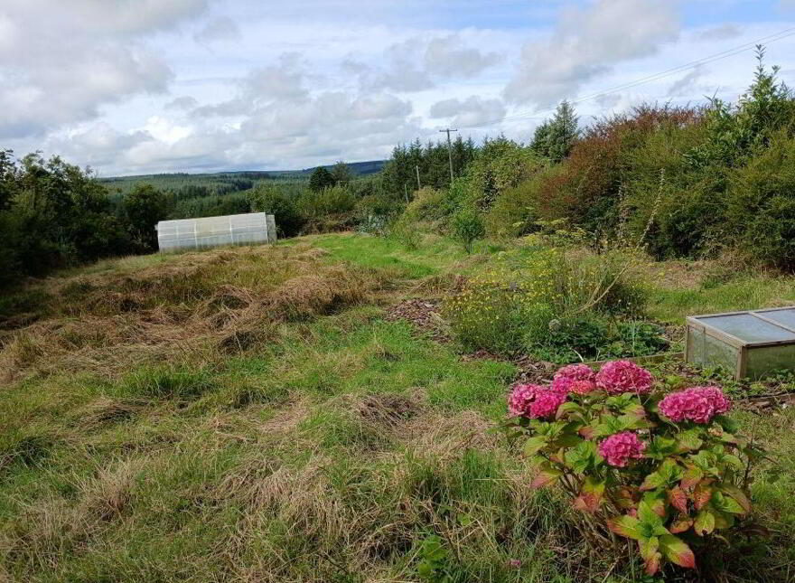 Mountplummer, Broadford, Dromcolliher, P56E771