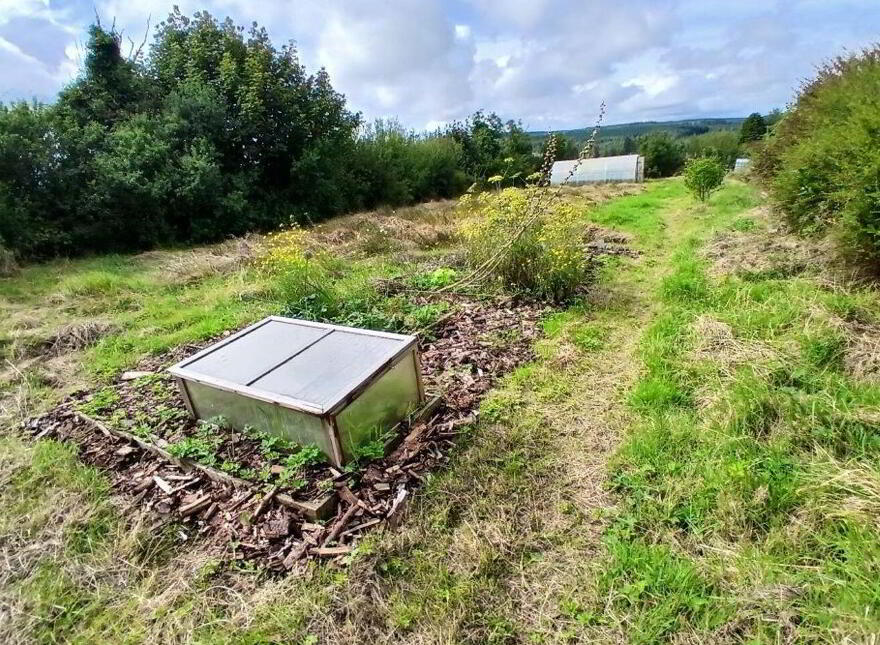 Mountplummer, Broadford, Dromcolliher, P56E771