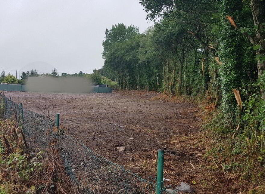 Kilnarovanagh, Toames, Macrooom, Toames photo
