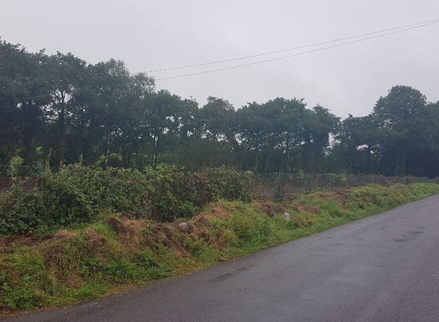Kilnarovanagh, Toames, Macrooom, Toames
