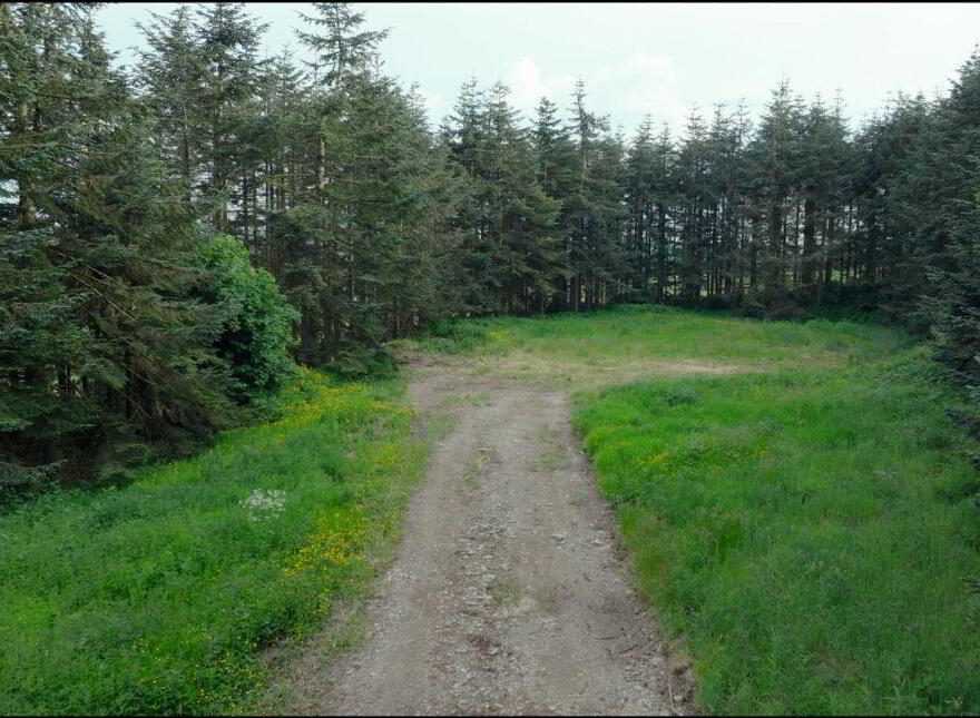 Loughmouge Upper, Dunlavin