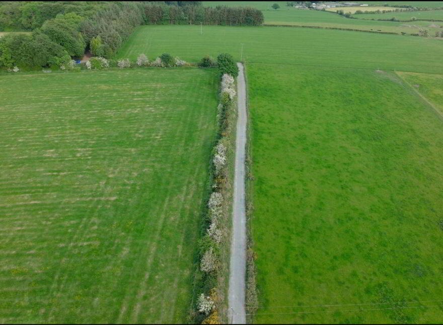 Loughmouge Upper, Dunlavin