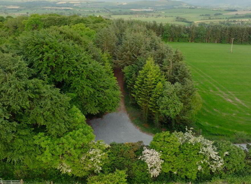 Loughmouge Upper, Dunlavin