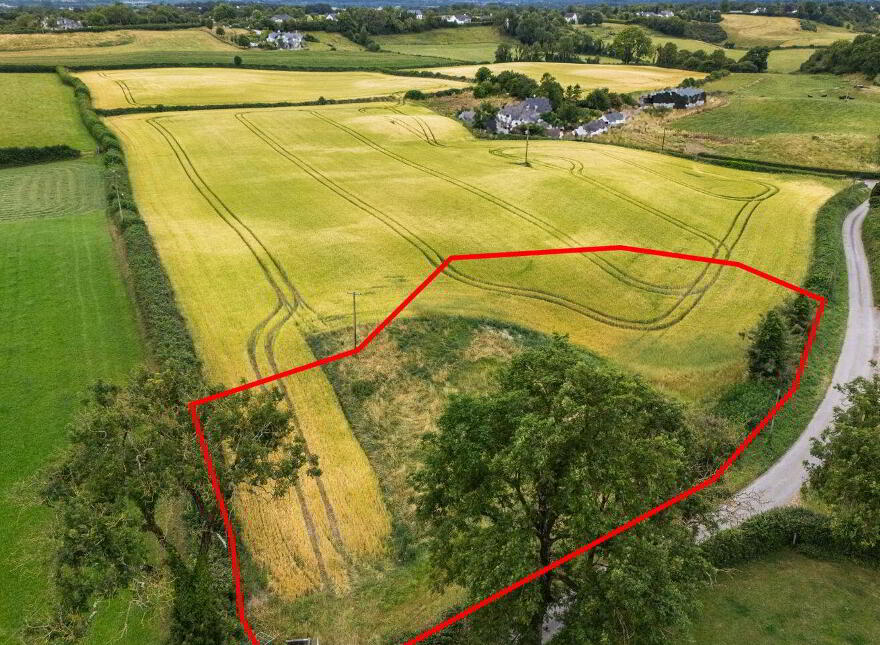 Frevenagh, Durrow, Tullamore photo
