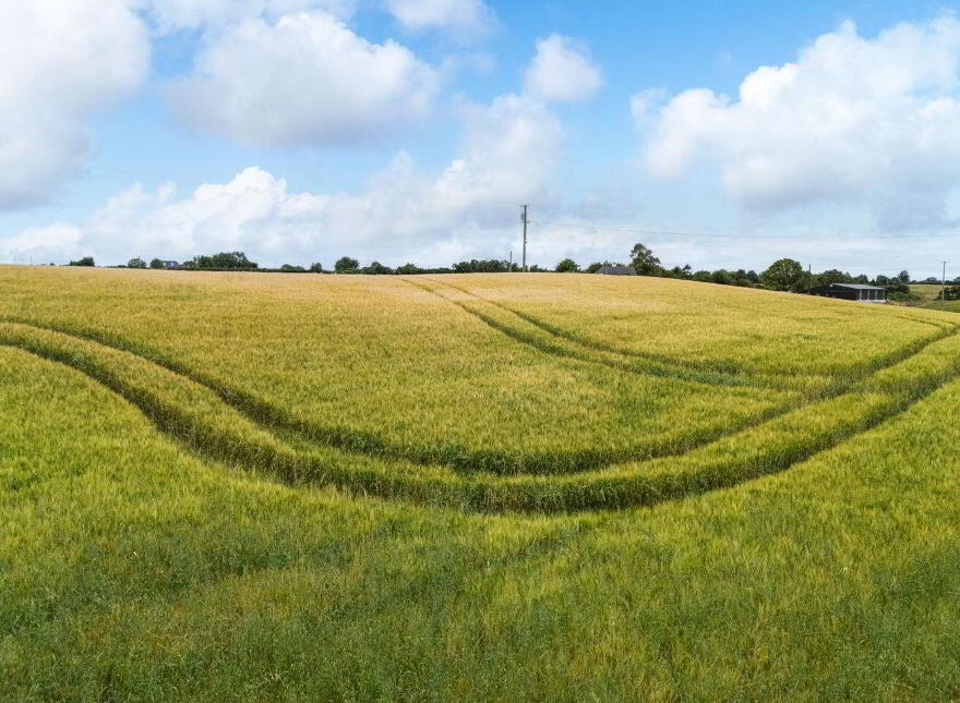 Frevenagh, Durrow, Tullamore