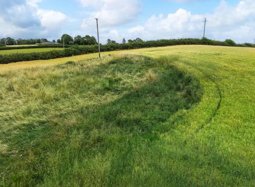 Frevenagh, Durrow, Tullamore