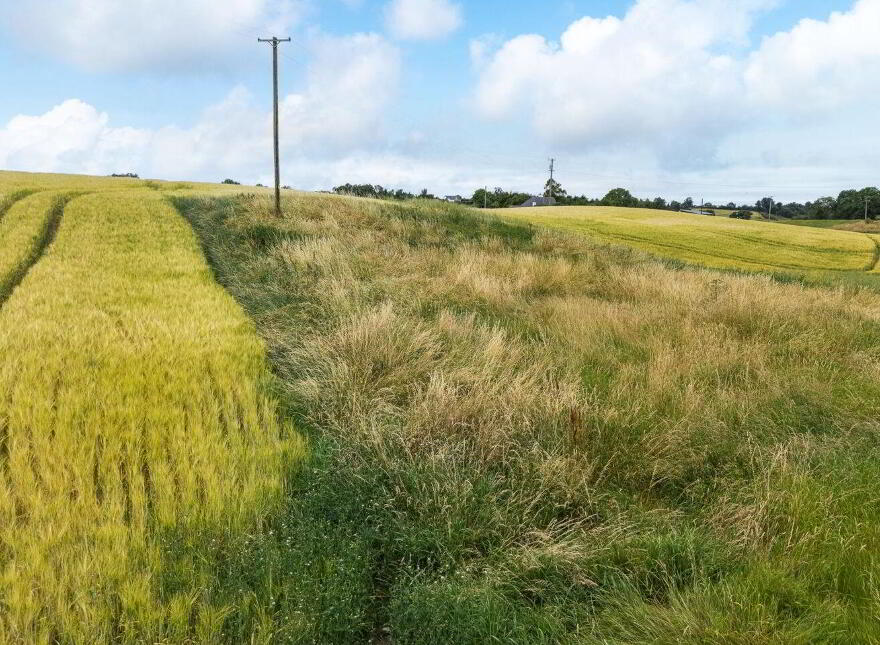 Frevenagh, Durrow, Tullamore
