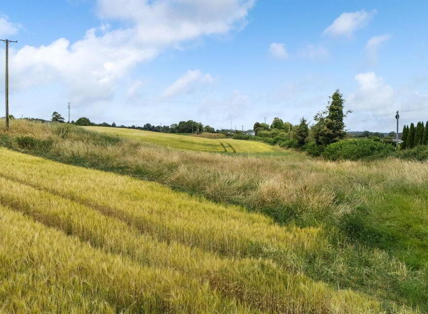 Frevenagh, Durrow, Tullamore