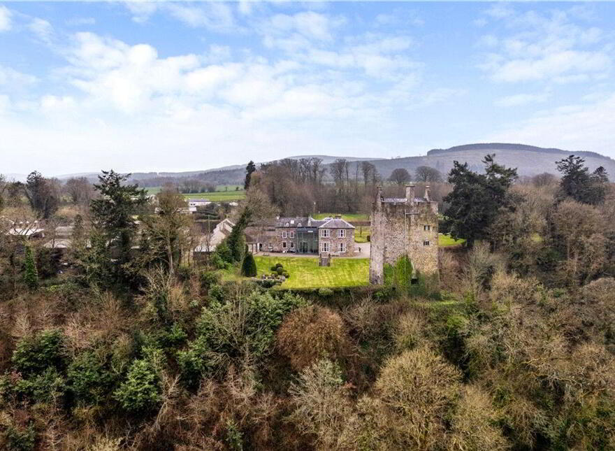 Carrigacunna Castle, Killavullen, Killavullen, P51X043