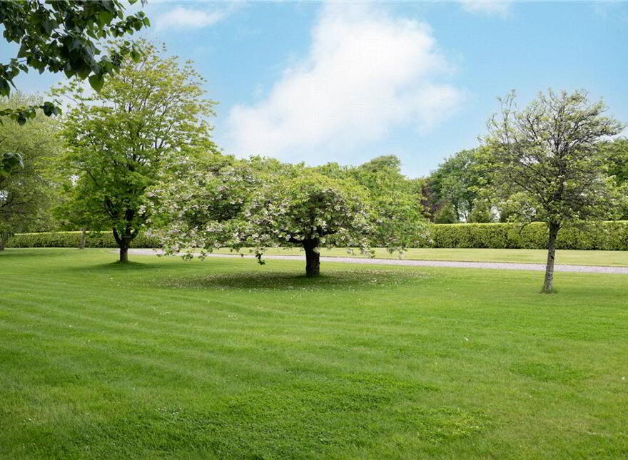 Carewswood House, Carewswood, Castlemartyr, P25XF84