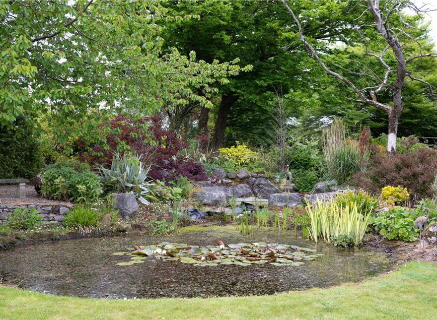 Carewswood House, Carewswood, Castlemartyr, P25XF84