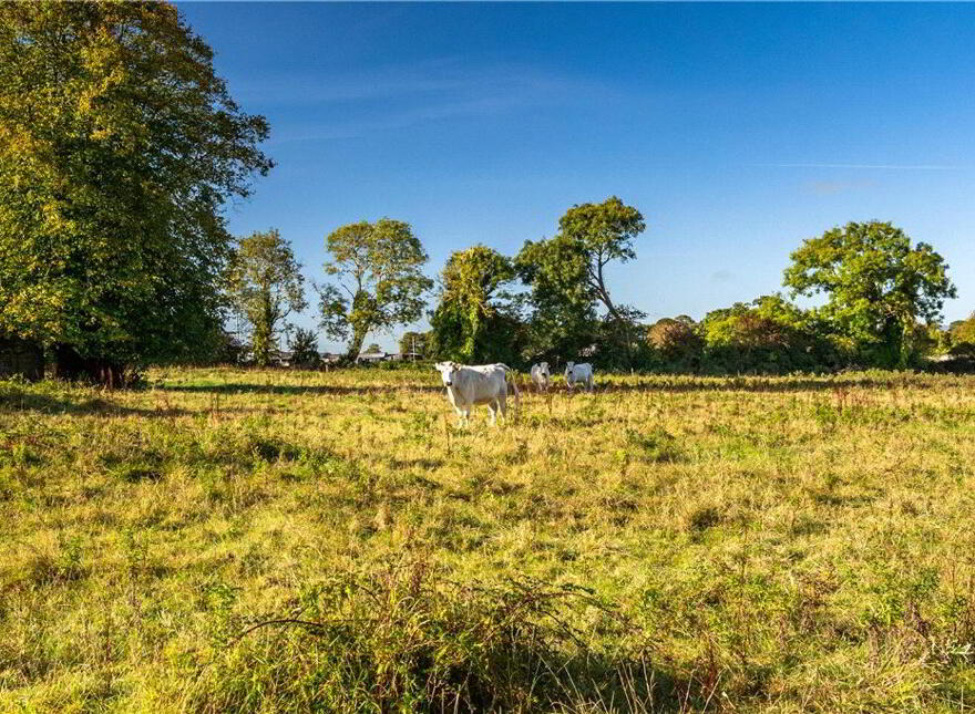 The Old Rectory, Ballywilliam, Rathkeale, V94Y6HV