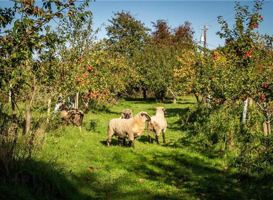 The Old Rectory, Ballywilliam, Rathkeale, V94Y6HV