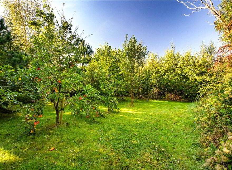 The Old Rectory, Ballywilliam, Rathkeale, V94Y6HV