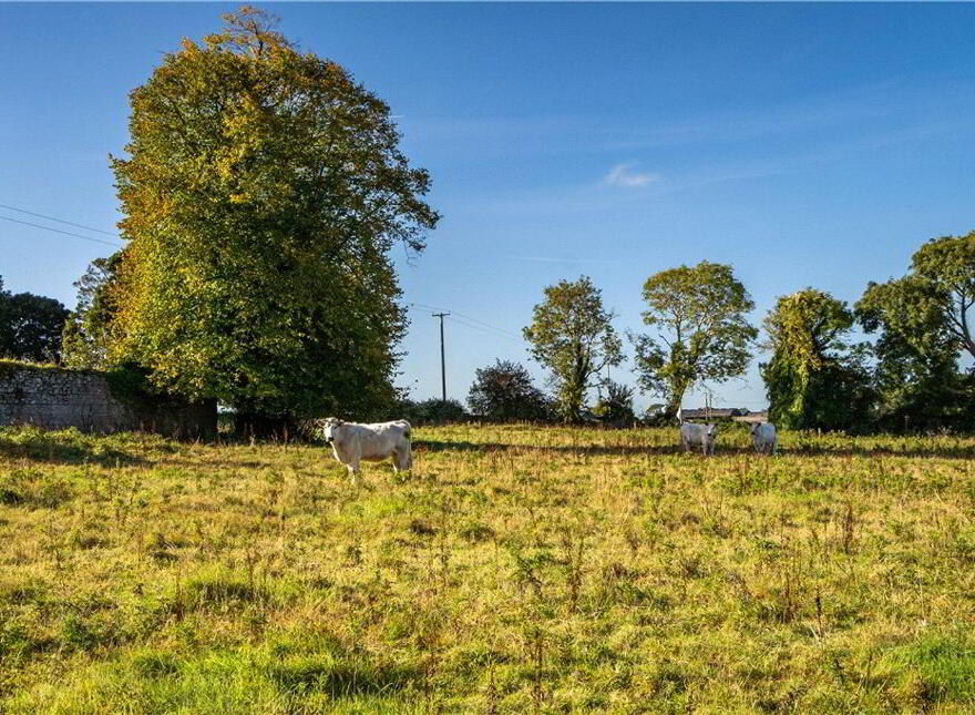 The Old Rectory, Ballywilliam, Rathkeale, V94Y6HV