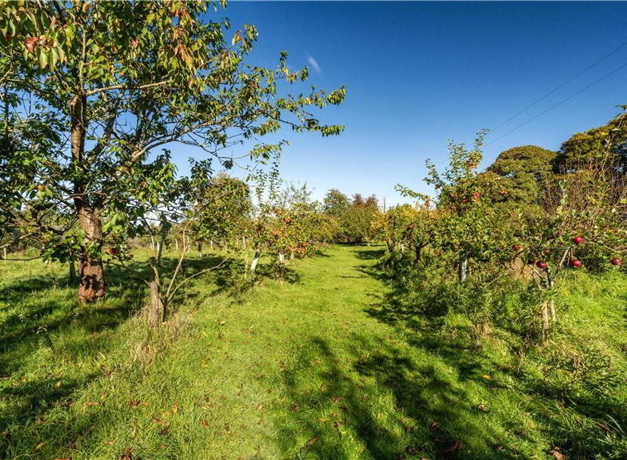 The Old Rectory, Ballywilliam, Rathkeale, V94Y6HV