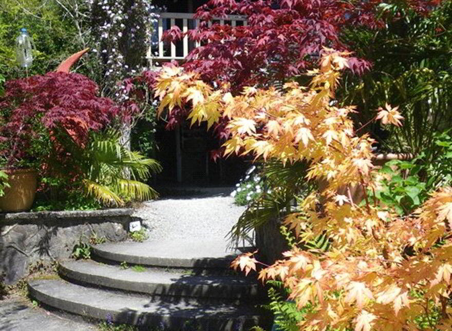 Falling Water Lodge, Tooreen, Glengarriff, P75PY72
