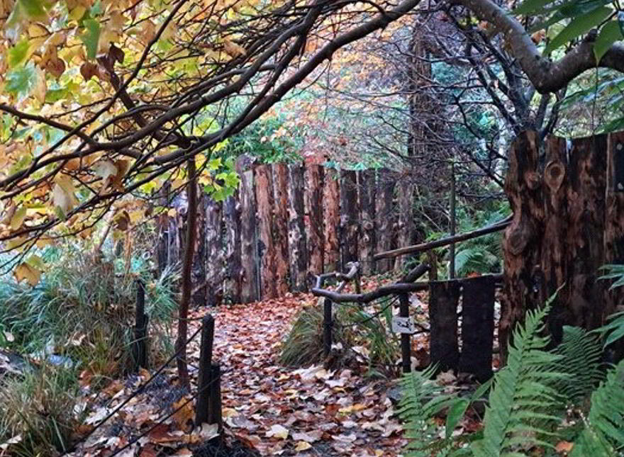 Falling Water Lodge, Tooreen, Glengarriff, P75PY72