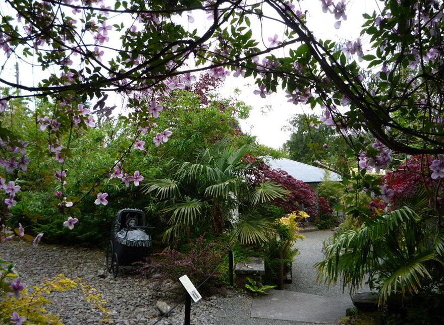 Falling Water Lodge, Tooreen, Glengarriff, P75PY72