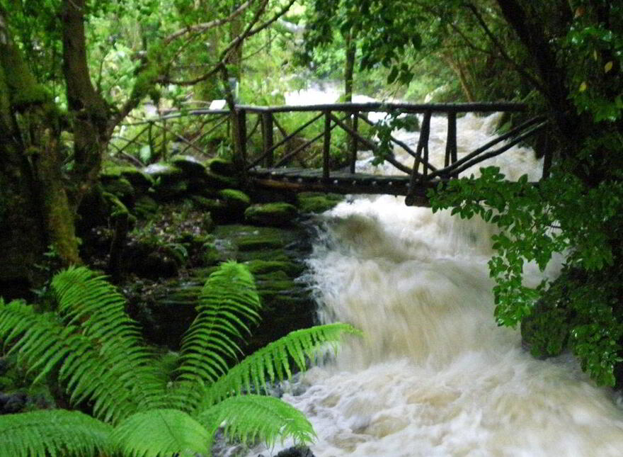 Falling Water Lodge, Tooreen, Glengarriff, P75PY72
