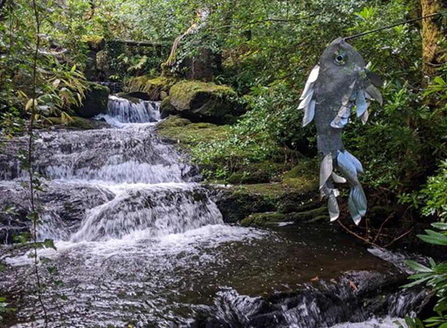 Falling Water Lodge, Tooreen, Glengarriff, P75PY72