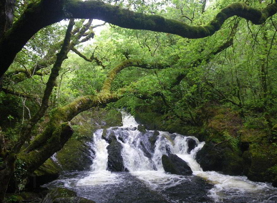 Falling Water Lodge, Tooreen, Glengarriff, P75PY72
