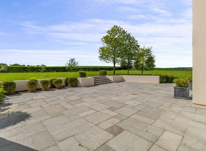 Rockforest, Mallow, P51YAA3