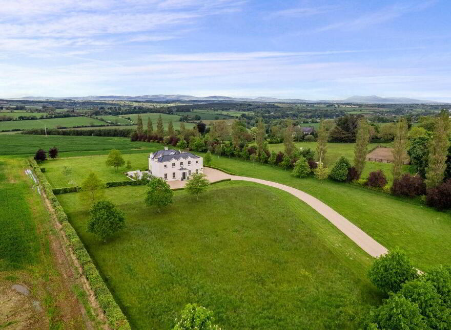Rockforest, Mallow, P51YAA3