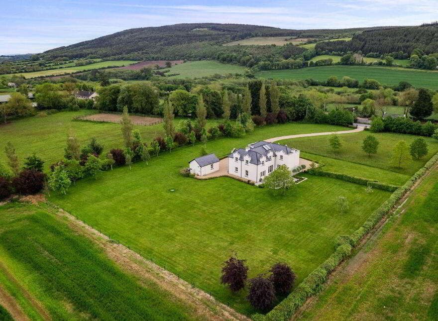 Rockforest, Mallow, P51YAA3