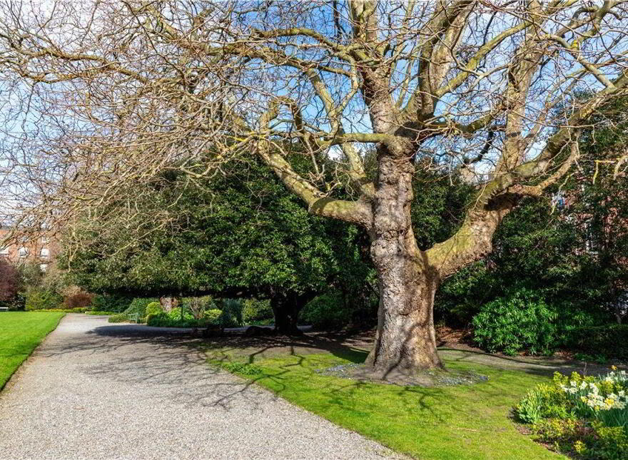 66 Fitzwilliam Square, Dublin 2, D02AT27
