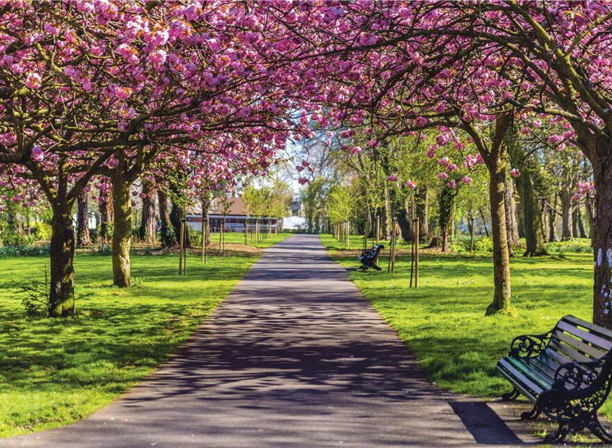 Melfort, Shrewsbury Road, Ballsbridge, Ballsbridge, D04T0H7