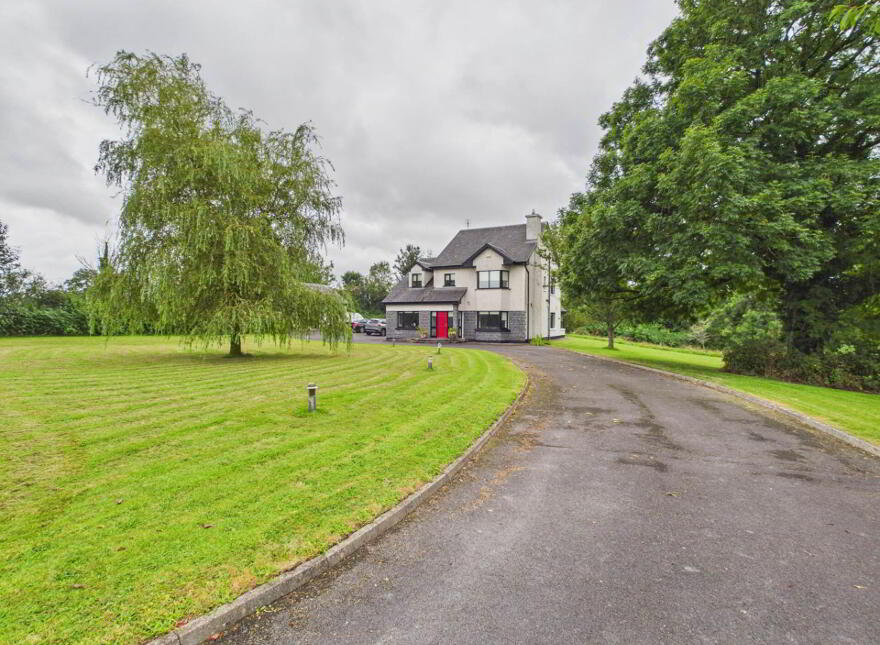 Ballyshingadaun, The Neale, F31XV24