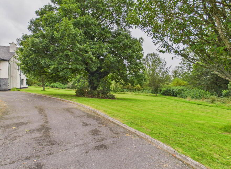 Ballyshingadaun, The Neale, F31XV24