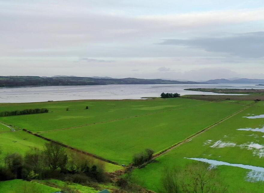 Drumardagh, Pluck