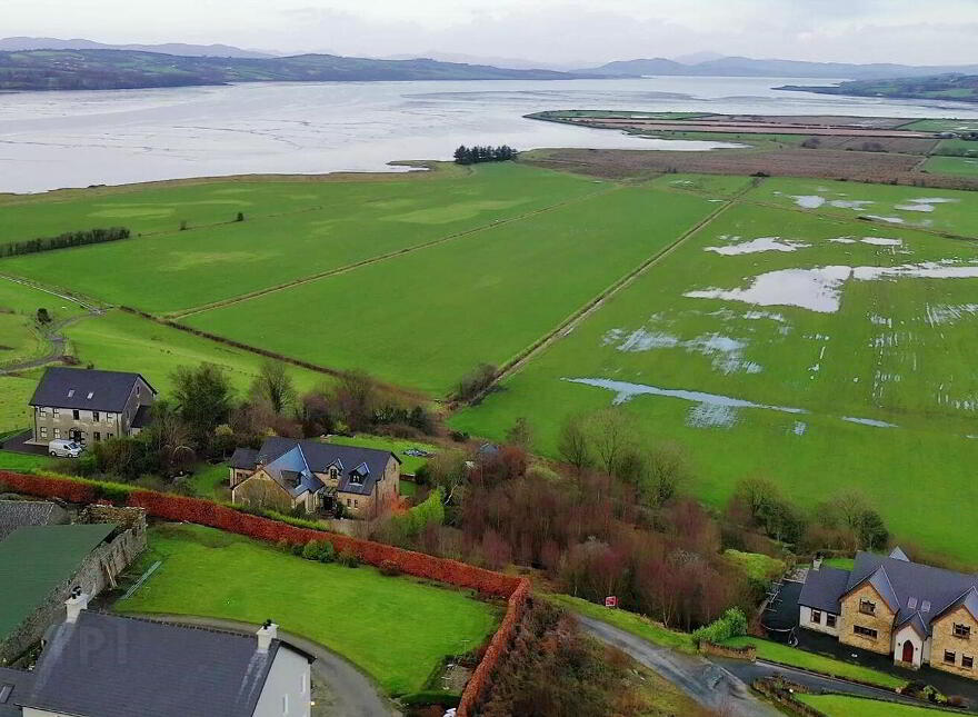 Drumardagh, Pluck