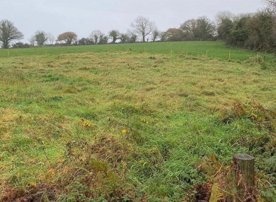 Dromahane, Mallow photo