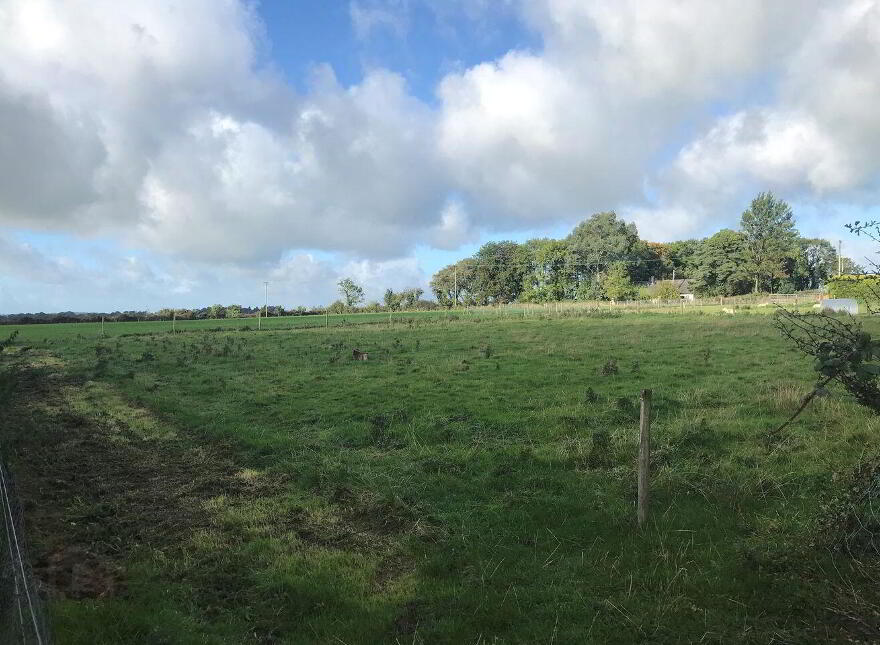 Lismire, Newmarket
