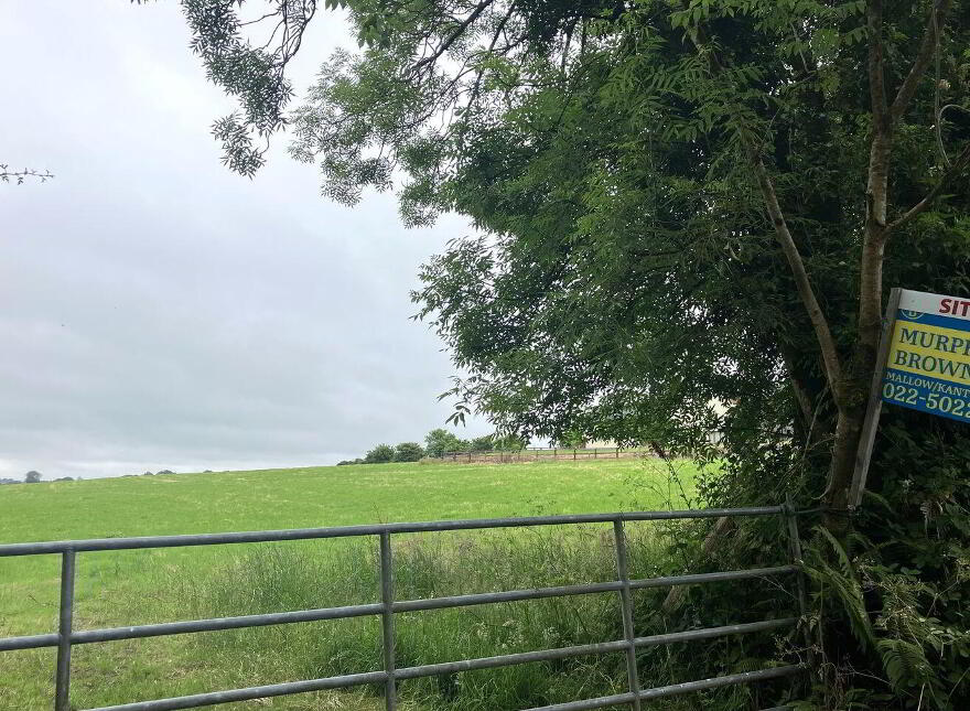 Ballysimon, Dromahane, Mallow