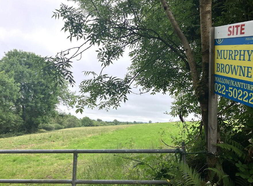 Ballysimon, Dromahane, Mallow