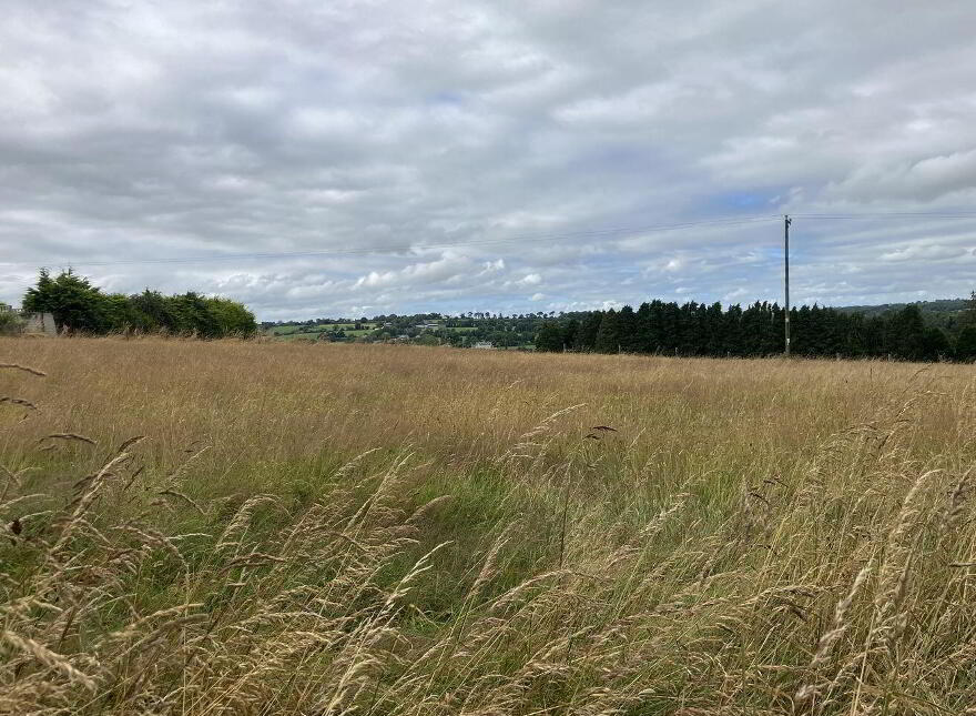 Cloongeel, Newmarket