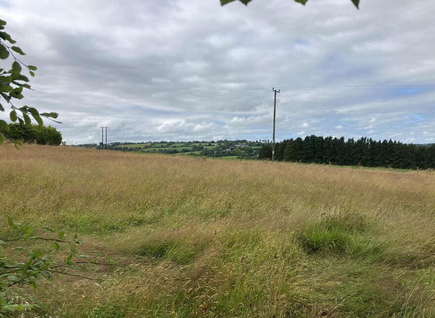 Cloongeel, Newmarket