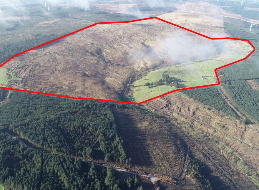 Inchamay, Nadd, Banteer, P51D951