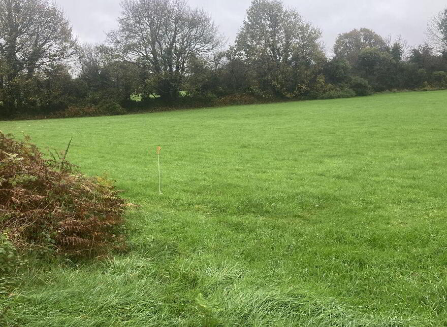 Banteer West, Banteer