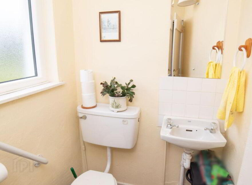 Grindel, Ballyellis, Mallow, P51CHD2