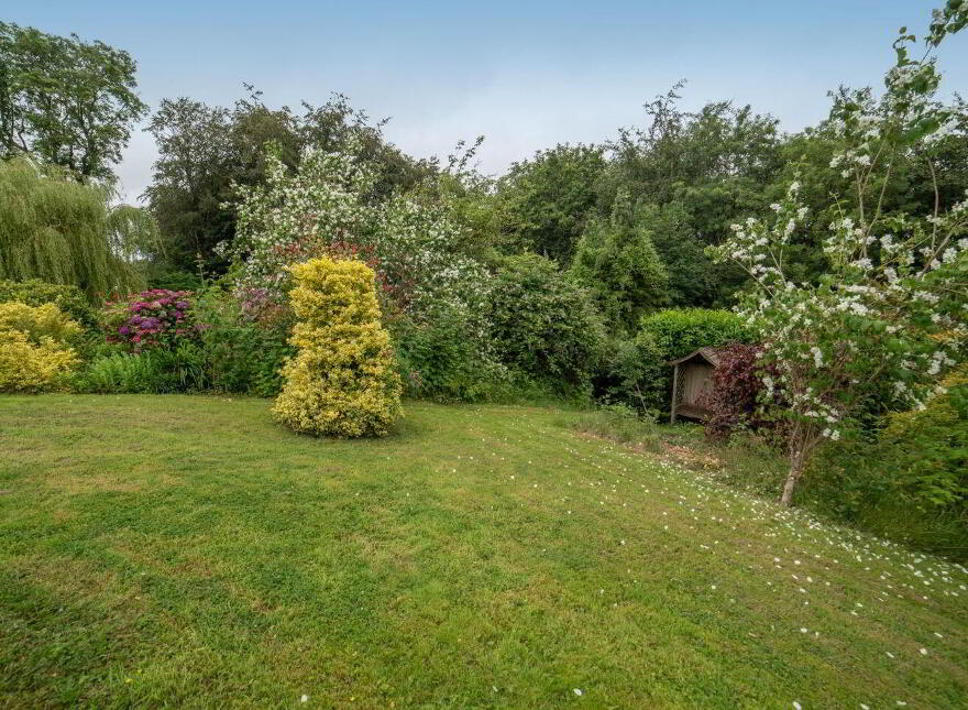 Grindel, Ballyellis, Mallow, P51CHD2