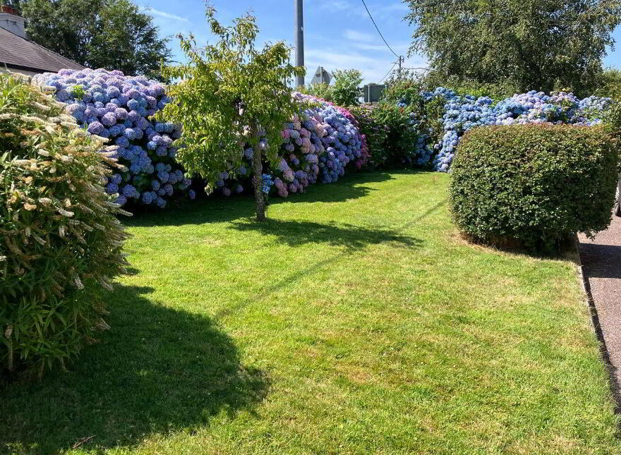 Dromahane, Dromore, Mallow, P51K4P1