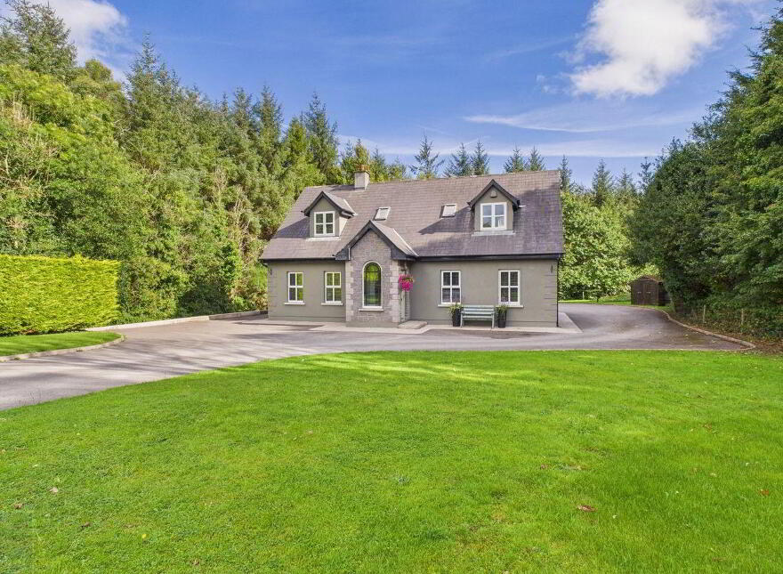 Stream, Ballyhyland, Caim, Enniscorthy, Y21CD82