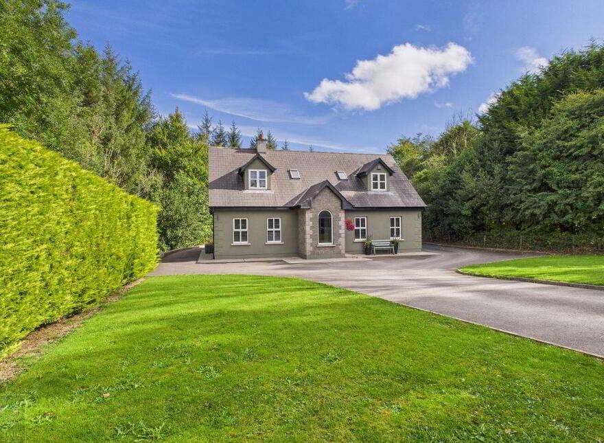 Stream, Ballyhyland, Caim, Enniscorthy, Y21CD82