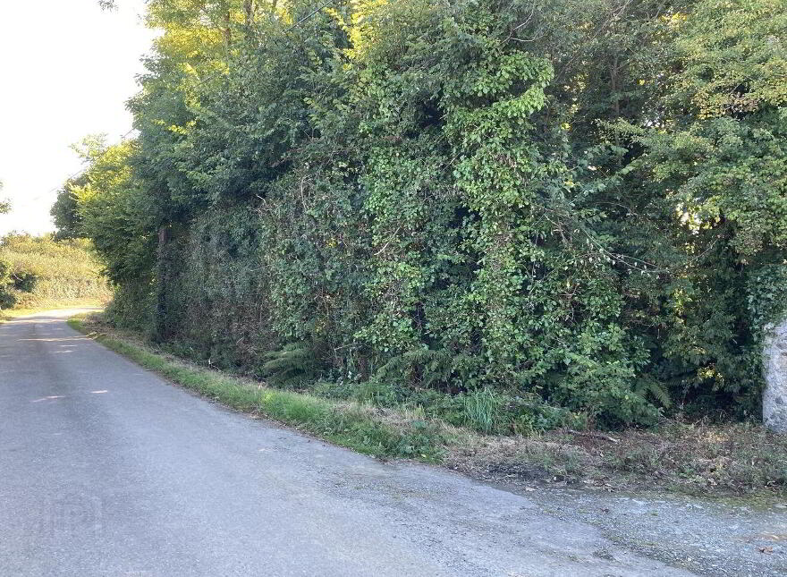 C. 1.95 Acre Site ( SPP) At Cubslough, Killinick