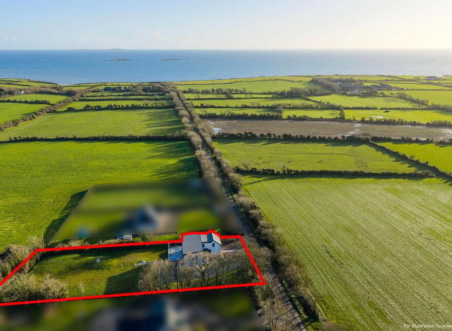 "Dot's Seaview Cottage", Haggard, Bannow, Y35XTY3